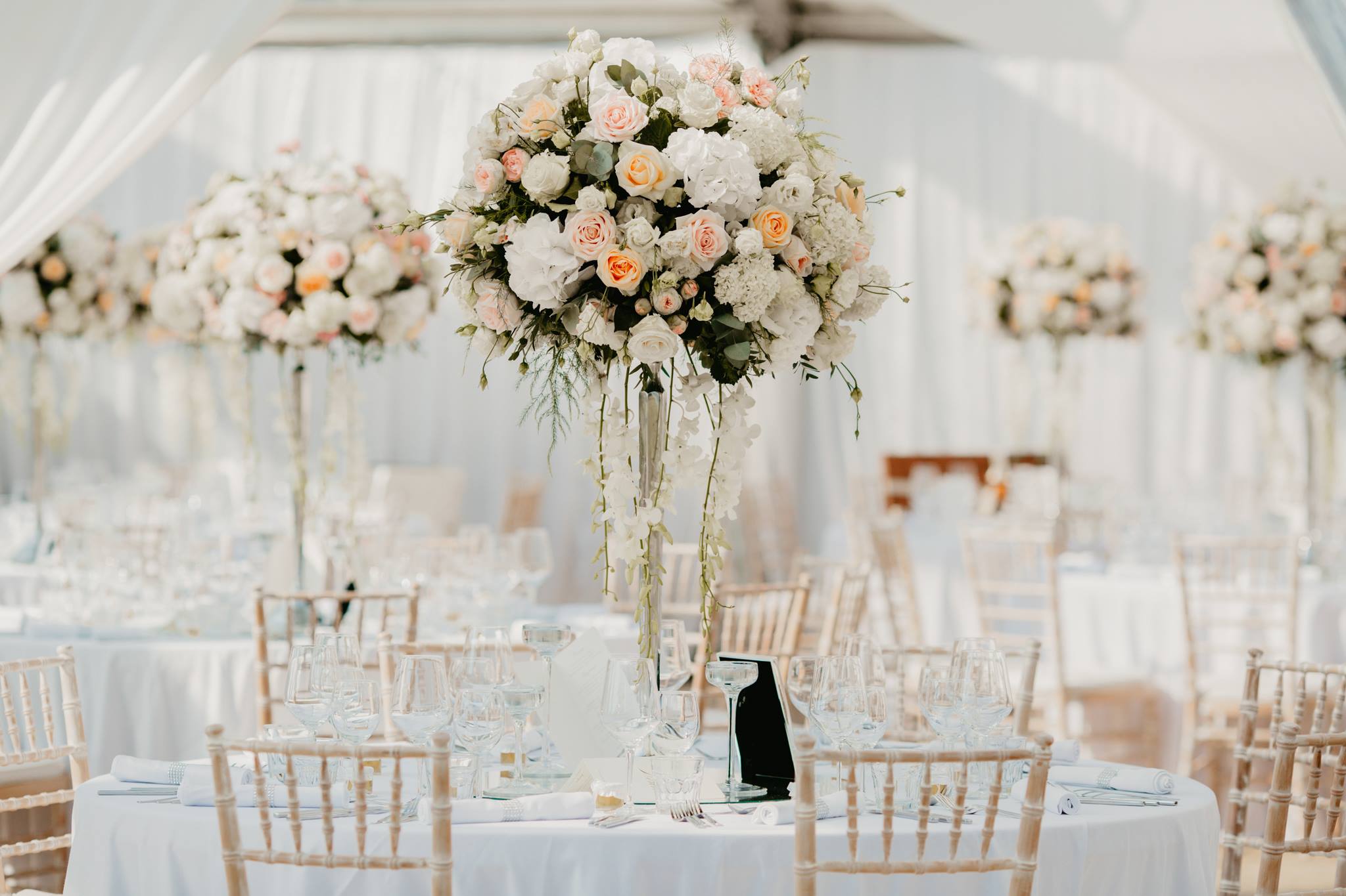 37723809_1733428860044585_330627243871043584_o